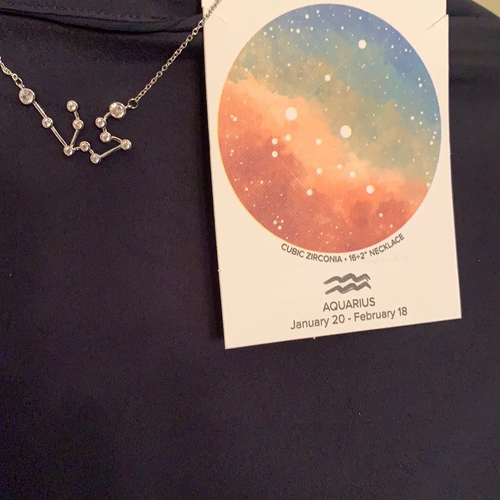 Sterling Aquarius necklace